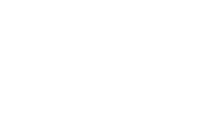 Veirs white logo 2x